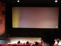 -龙之星国际影城(太平店)