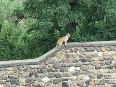-鸡鸣驿古城