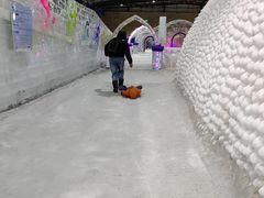 -宁波冰雪大世界(北仑区)