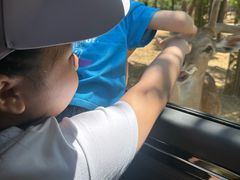 -秦皇岛野生动物园