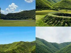 -阿露佳·舌尖上的安吉菜