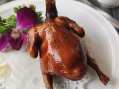 -鸽鸟轩(石岐店)