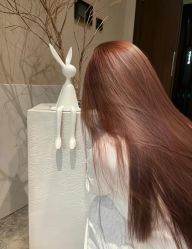 -GANO HAIR 