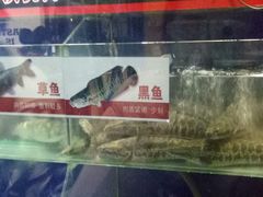 -鱼酷活鱼烤鱼(北美店)