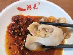 -鸿毛饺子(紫竹桥店)