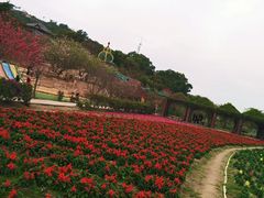 -丹樱生态园