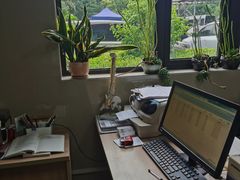 -上海市杨浦区中医医院