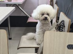 -奕宏饺子楼(朱庄小区店)
