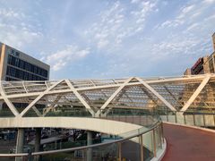 -利群胶州购物广场(澳门路店)