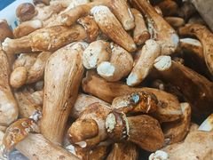 -名善山珍·野生菌汤锅(文殊院店)