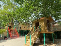 -南宫五洲植物乐园