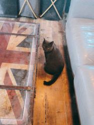 -青木造型HAIR·あおき髪を刈る潮人店