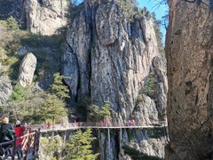 -老君山风景名胜区