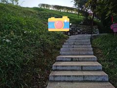 -黄埔油麻山森林公园