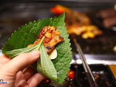 -韩阳王石板烤肉