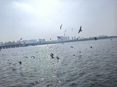 -蠡湖大桥公园