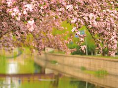 -海棠花溪(元大都城垣遗址公园)