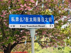 -余笙是你婚礼策划(创意谷店)