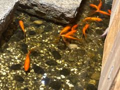 -邈墨茶馆(凤起路店)