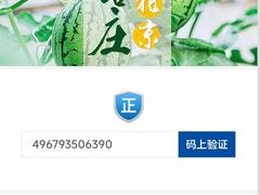 -果多美(纪家庙店)