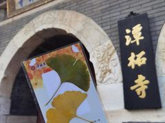 -潭柘寺景区