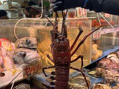 -国际通