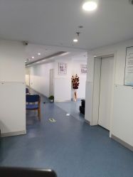 -温州伯思立医院