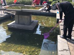 -杭州城北体育公园