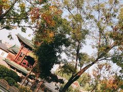 -迎泽公园