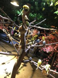 -酷嗒动物文化乐园(cutezoo西溪乐天城店)