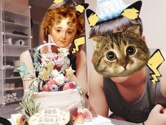 -EnergyCake蛋糕理想国