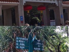 -火炉山森林公园