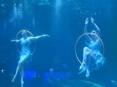 -海合安成都极地海洋公园