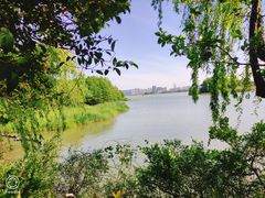 -长广溪湿地公园