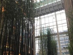 -上海雅居乐万豪侯爵酒店