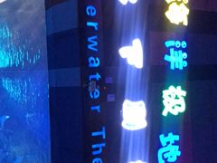 -泉城欧乐堡海洋极地世界