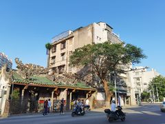 -老妈宫粽球