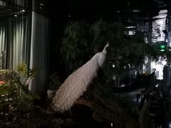 -LANN I 蘭 SPA(陆家嘴中心店)