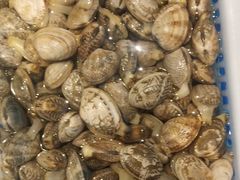 -徽三说·土徽菜·中国徽菜连锁品牌(一中店)