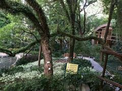 -香港大学