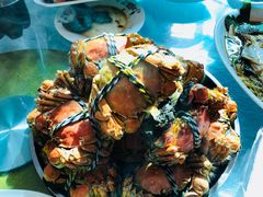 大闸蟹-丫丫蟹庄·苏式园林农家乐·阳澄湖大闸蟹(阳澄湖莲花岛店)