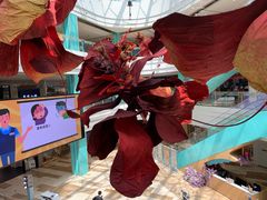 -大族广场Mall&More