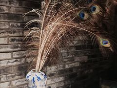 -都氏家DUSJOY(翡翠城店)