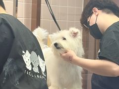 -FAELING PETS美天灵宠物(富力广场店)