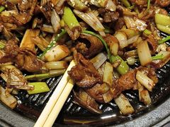 -北平盛世·新京菜·北京烤鸭(劲松·双井店)