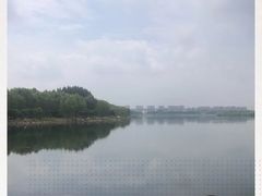 -丁香湖公园