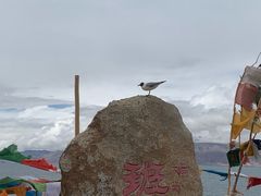 -班公湖