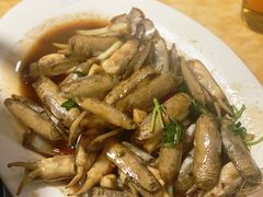 -金砂阿洲鱼册店