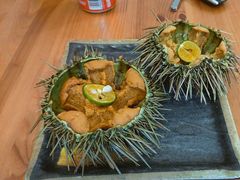 -海胆小馆(东北水饺·春柳店)