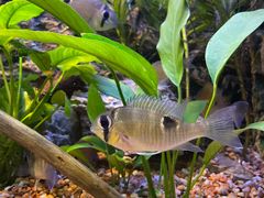 -上海海洋水族馆